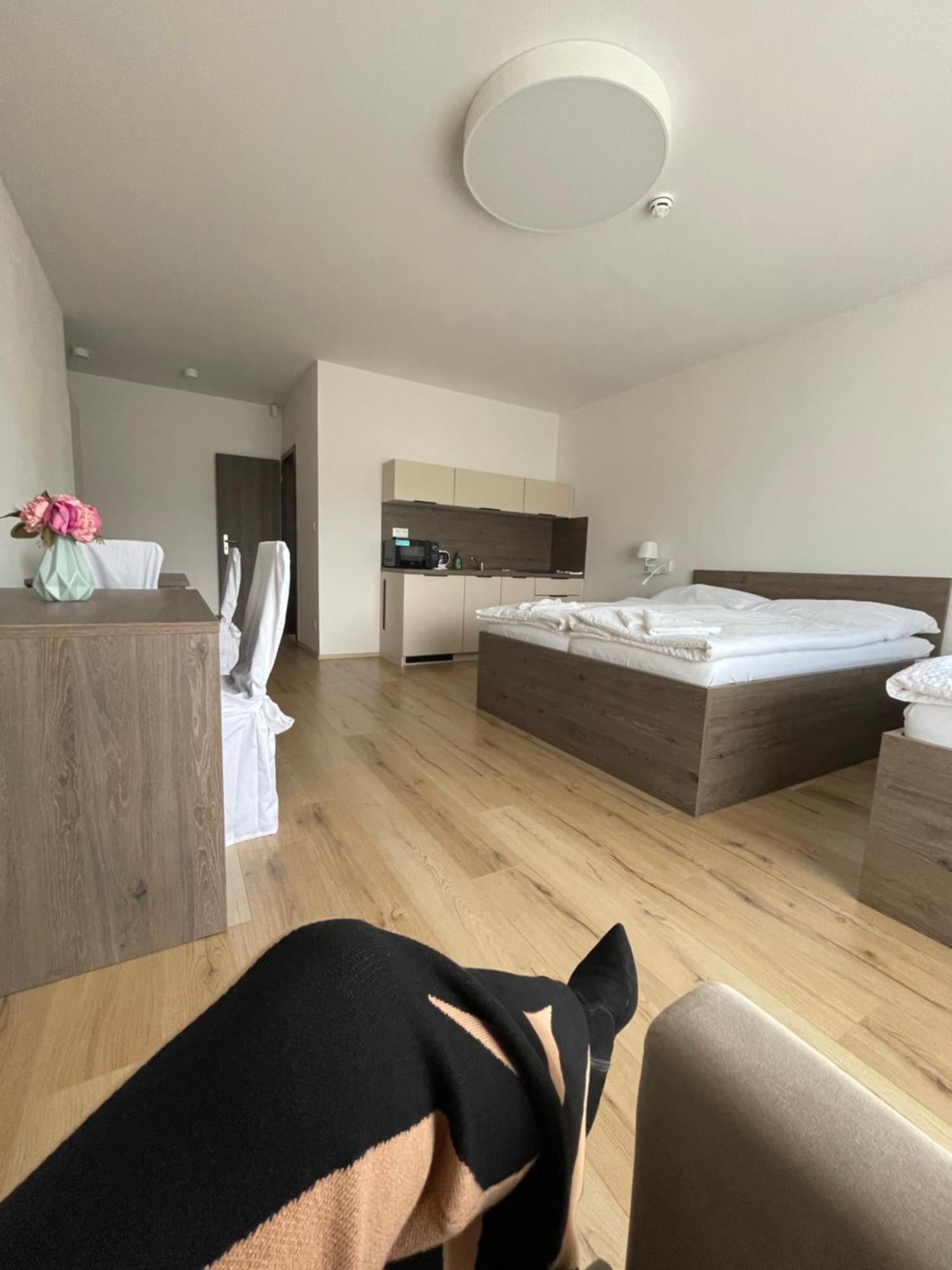 Zafir Hotel Dunajska Streda Luaran gambar